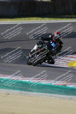 media/Mar-17-2024-Fastrack Riders (Sun) [[c7d6f8c14c]]/Level 3/Turn 6/